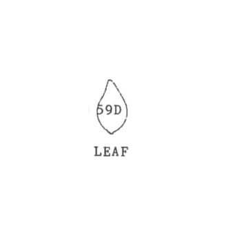 universal, leaf