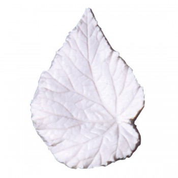 SK Great Impressions Leaf Veiner Begonia Rex XL