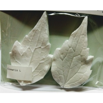 SK Great Impressions Leaf Veiner Clematis L