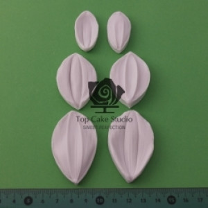 blooms, veiner, silicone, bloem, bloemen, flower, flowers, sugarflower, porcelain, craft. gumpaste, dahlia, porselein, siliconen, voedselveilig