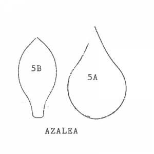 azalea