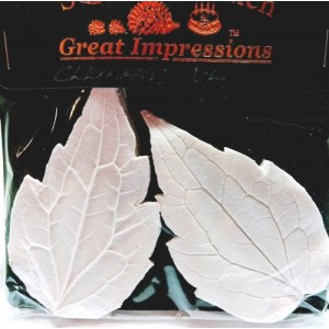 SK Great Impressions Leaf Veiner Clematis VL