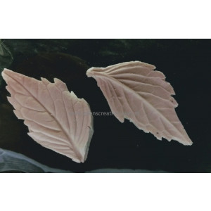 SK Great Impressions Leaf Veiner Hydrangea S