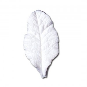 SK Great Impressions Leaf Veiner Primrose (Primula) M