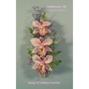 Hawthorne Hill Cattleya Orchid Set S