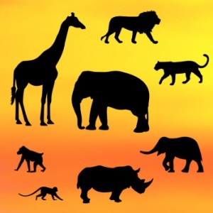 Patchwork Cutters - Safari Silhouette Set