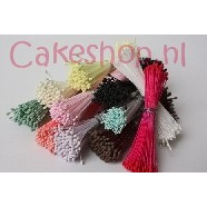 www.cakeshop.nl