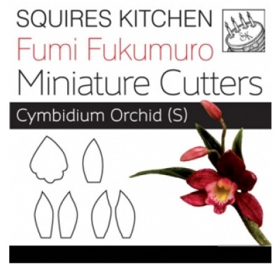 Fumi Fukumuro Miniature Cymbidium Orchid S