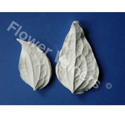 Flower Veiners Clematis Leaf set S - M
