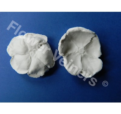 Flower Veiners Rosa Rose Dogrose Quick Mould M