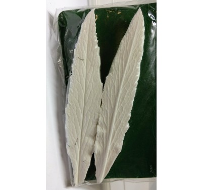 SK Great Impressions Leaf Veiner Hellebore Orientalis 12 cm
