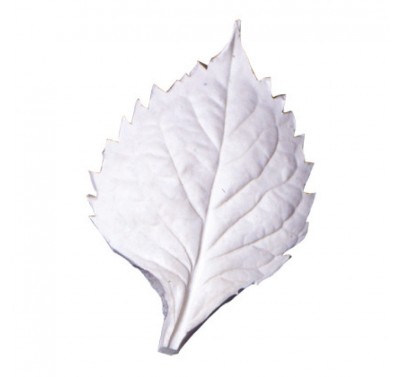 SK Great Impressions Leaf Veiner Hydrangea L