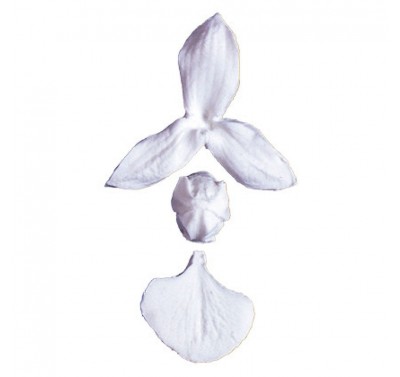 Squires Kitchen Petal Veiner Orchid Moth - Phalaenopsis Wide