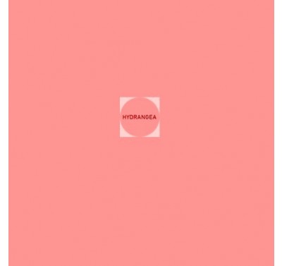 Sugarin Edible Petal Dust - Pink Hydrangea - 10ml