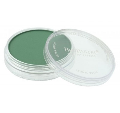 PanPastel Permanent Green Shade 640.3 PG50 PBk7