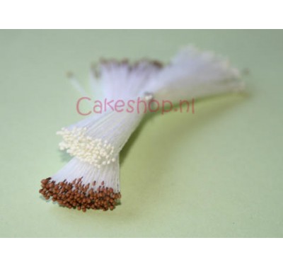 Stamens Micro Brown tip / White stem