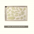 JEM, doos, bladeren, leaf, set, cutters, JEM, snijders, 103FF003, leaves