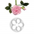petal, blossom, bloesem, 35mm, FP507, 5060047065078