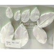 rose, leaf, klein, small, leaves, tearose, clayflower, sugarflower, suikerbloem, roos, GM01R004-04
