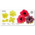 anemone, anemoon, jem, 103FF047, blad, bloemblad, leaf