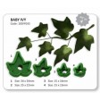 ivy, hedera, 103FF033, klimop, jem, blad, leaf