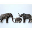 katysue, elephant, olifant, zoo, dierentuin, jungle, CF0026
