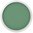 PanPastel, porselein, porsina, modena, clayflowers, painting, kleurstof, green, 640.3, krijt, pastel