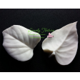 lilac, sering, daphne, lilac, sering, seringen, sugardelites, VEI112, sugarflowers, suikerbloemen