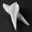jasmine, jasmijn, leaf, bladeren, blad, leaves, botanic, veiner, nerfvormer, robert, haynes, VRH045