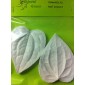 Aldaval Clematis Leaf Veiner XL