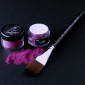 Premium Edible Colouring Dust By Robert Haynes – Intense Pink 10ml 