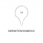 Framar Cutters Carnation/Scabiosa Petal