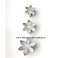 Alan Dunn Collection - Brodea - 6 petal blossom