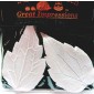 SK Great Impressions Leaf Veiner Clematis VL