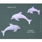 Hawthorne Hill Dolphins Set of three