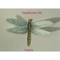 Hawthorne Hill Dragonfly