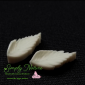 Sea Oat Veiner By Simply Nature Botanically Correct Products®