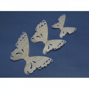Sugar Artistry Fantasy Lace Butterfly