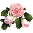 rose, roos, jem, 103FF029, large, groot, cutter, uitsteker