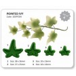 puntige hedera, klimop, ivy, 103FF034, blad, jem, leaf