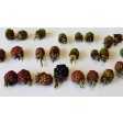 blackberry, blackberries, bramen, robert, VRH148, silicone, mould, mold, bramble, fruit