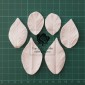 Blooms Raspberry Leaf set/3 - Framboos