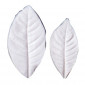 SK Great Impressions Leaf Veiner Gardenia Set/2