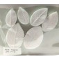 SK Great Impressions Leaf Veiner Rose - Rugosa Set of 3