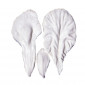 SK Great Impressions Petal Veiner Iris - Bearded set/3