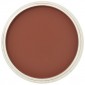 PanPastel Permanent Red Iron Oxide Shade 380.3