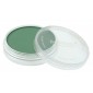 PanPastel Permanent Green Shade 640.3 PG50 PBk7