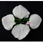 Hydrangea Petal Veiner Set By Simply Nature Botanically Correct Products® 