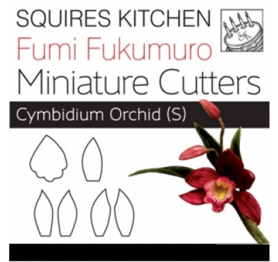 Fumi Fukumuro Miniature Cymbidium Orchid S