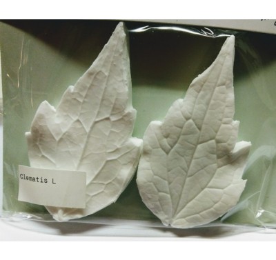 SK Great Impressions Leaf Veiner Clematis L